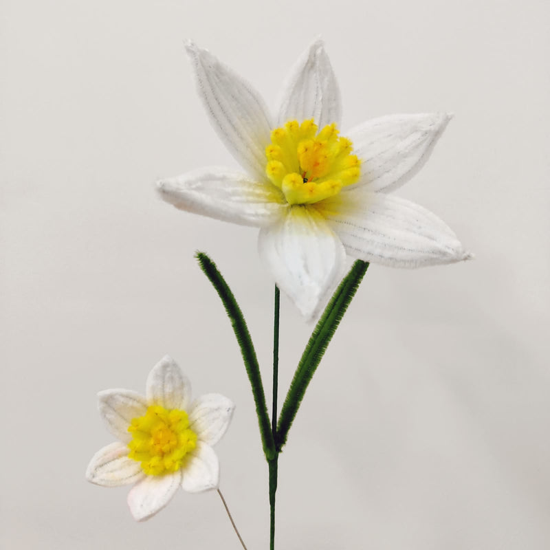 Daffodil | Easy-to-Follow Pipe Cleaner Video Tutorial