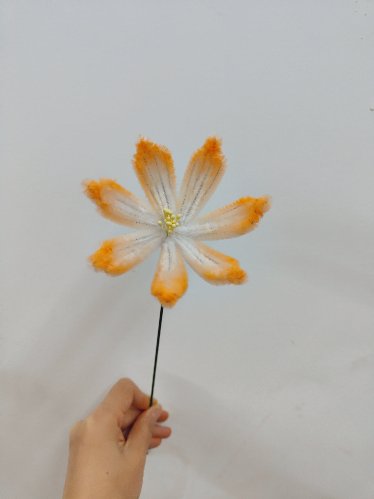 Original flower craft reference photo 2 for Two Cosmos Flower Styles | Chenille Video Tutorial