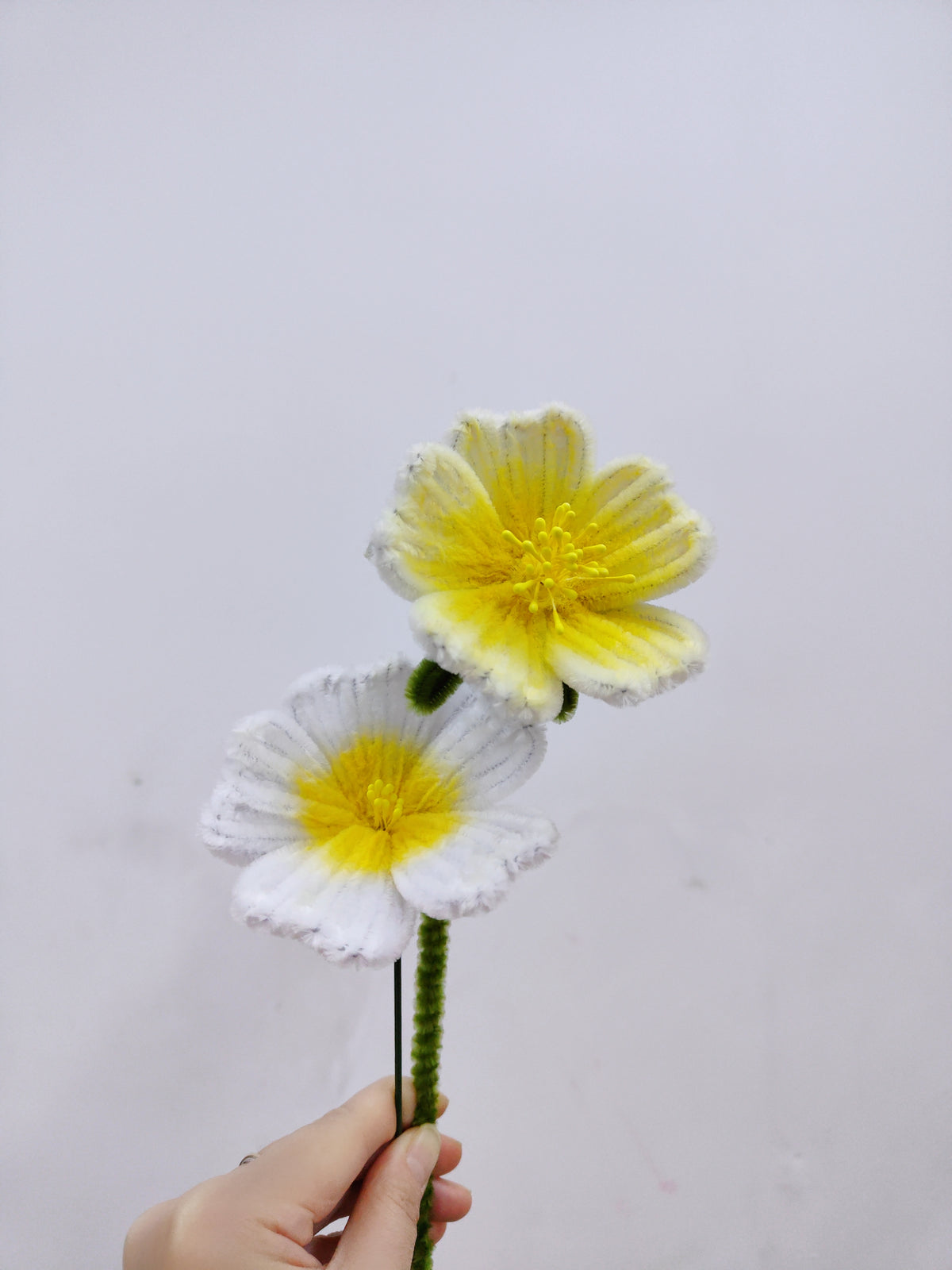 Original flower craft reference photo 1 for Plumeria Flower | Chenille Video Tutorial