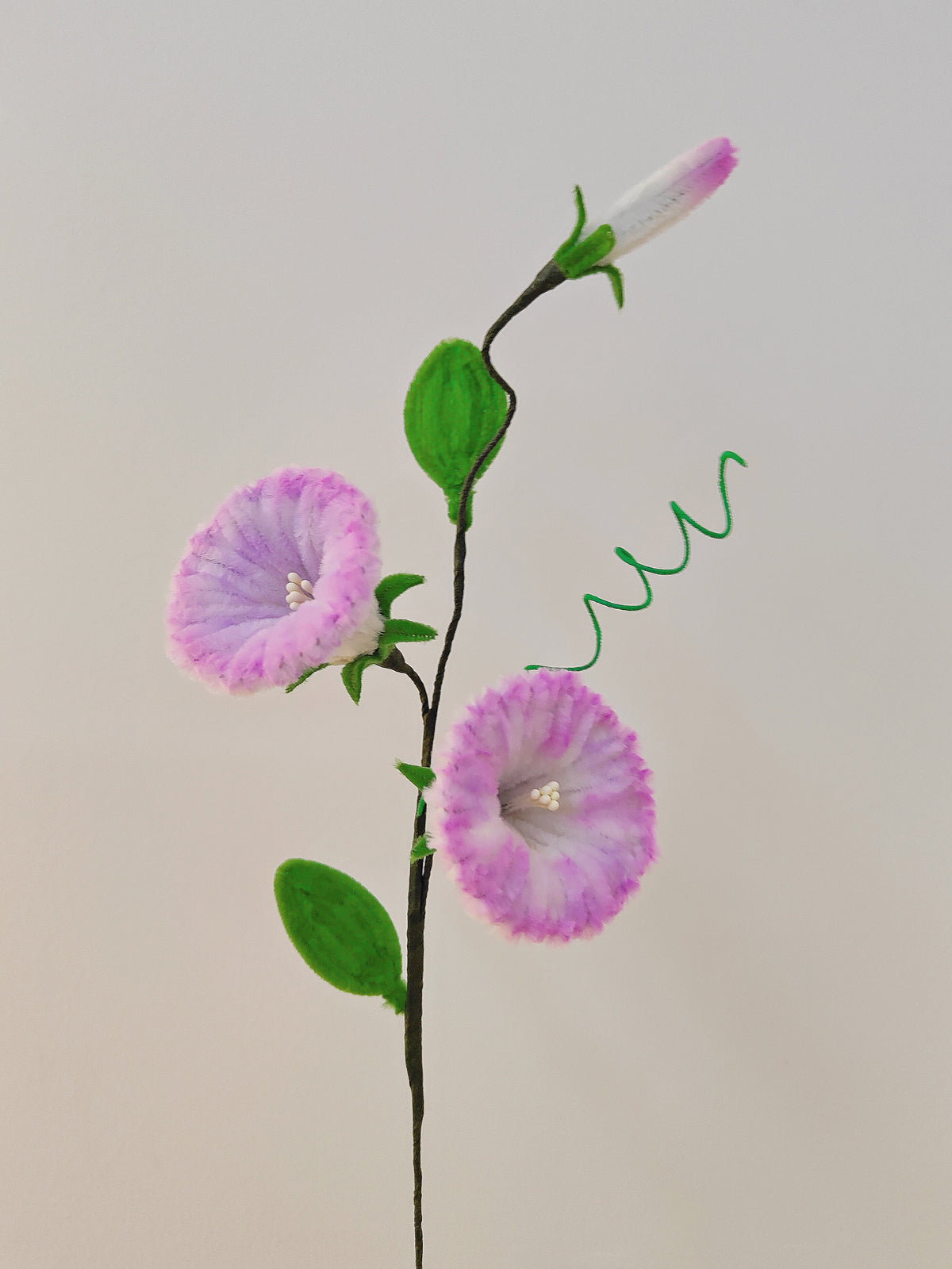 Original flower craft reference photo 2 for Morning Glory and Trumpet Flowers | Chenille Video Tutorial