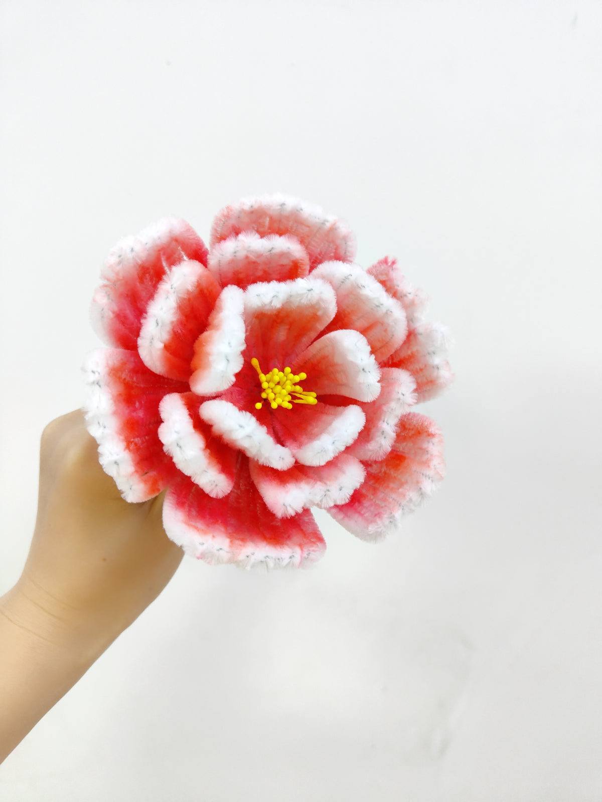 Original chenille tutorial source photo 1