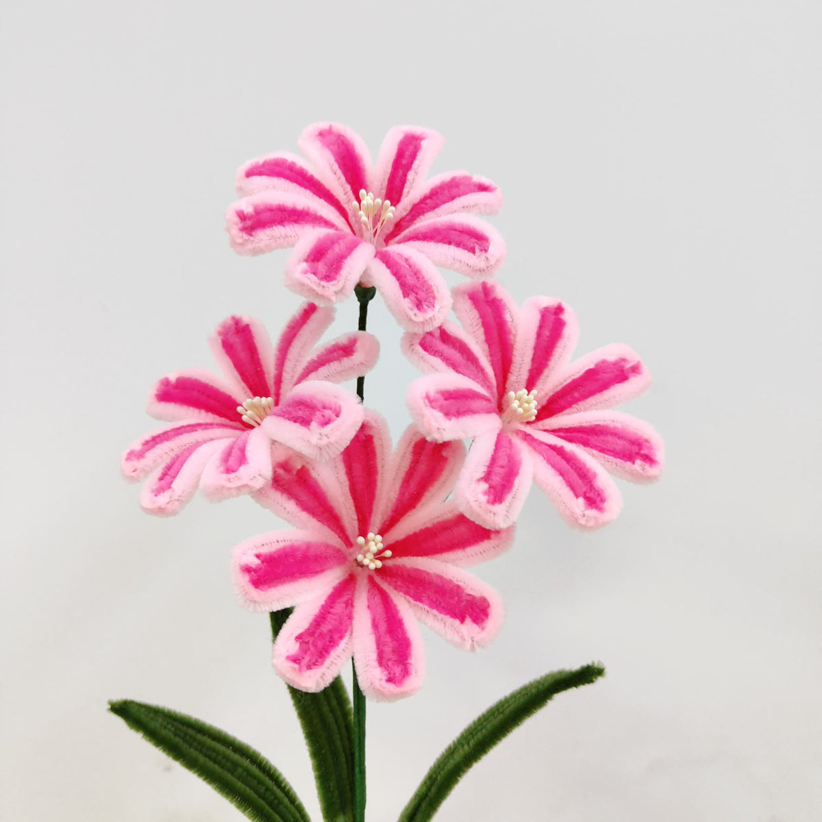 Lewisia Flower | Chenille Video Tutorial original craft photos