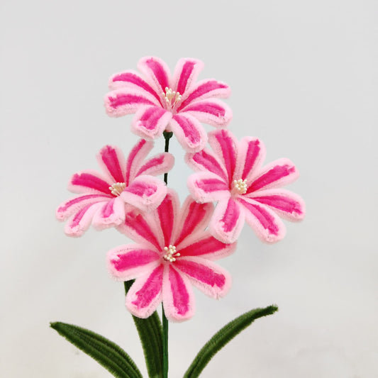Lewisia Flower | Chenille Video Tutorial original craft photos