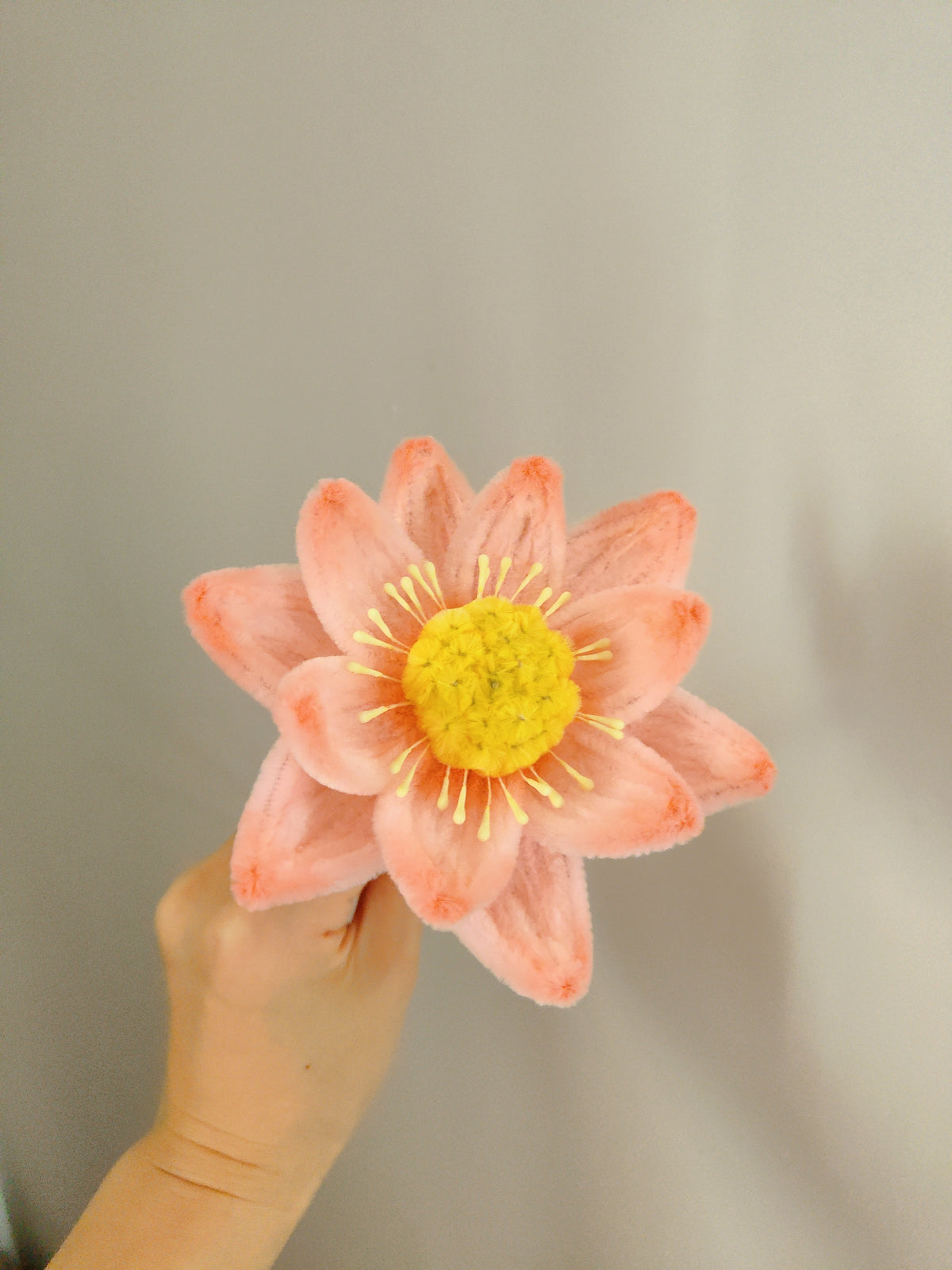 Original chenille tutorial source photo 1