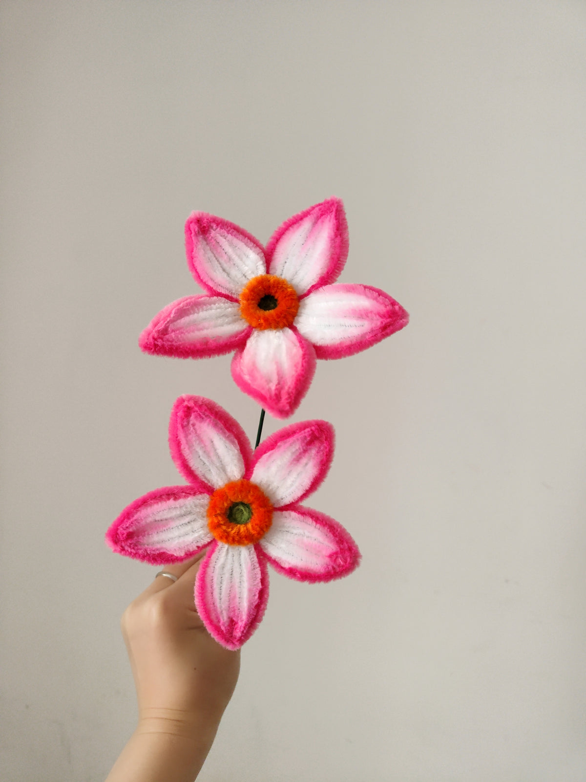 Original chenille tutorial source photo 1