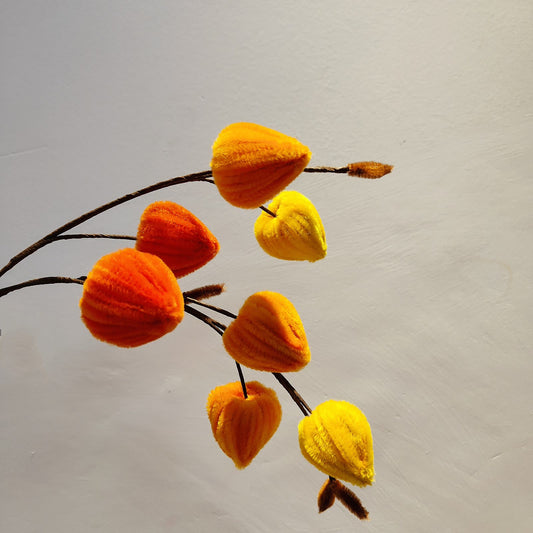 Chinese Lantern Fruit | Chenille Video Tutorial original craft photo