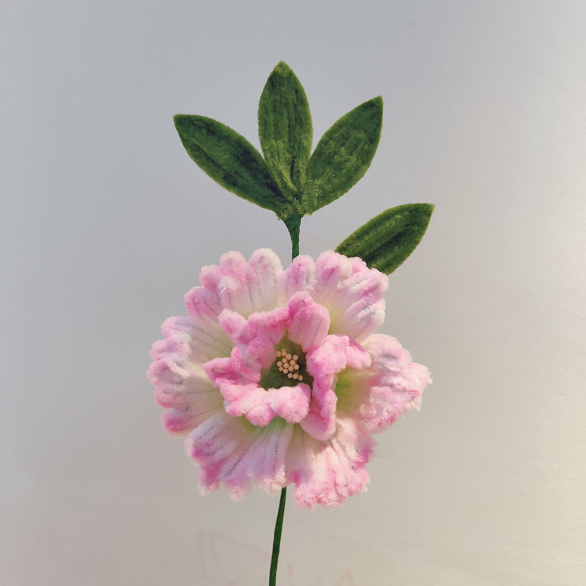 Cotton Rose Hibiscus | Chenille Video Tutorial original craft photo