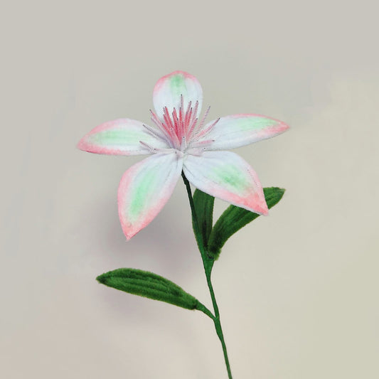 Clematis | Chenille Video Tutorial original craft photo