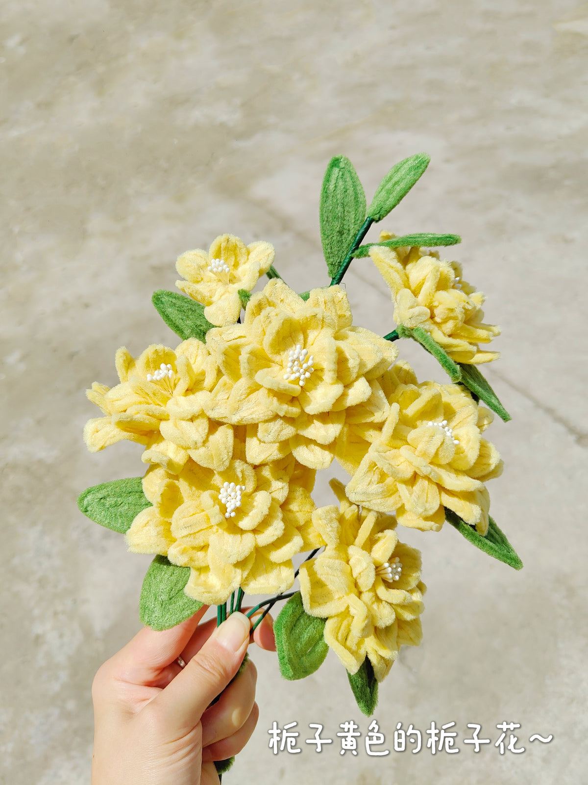 Original chenille tutorial source photo 1